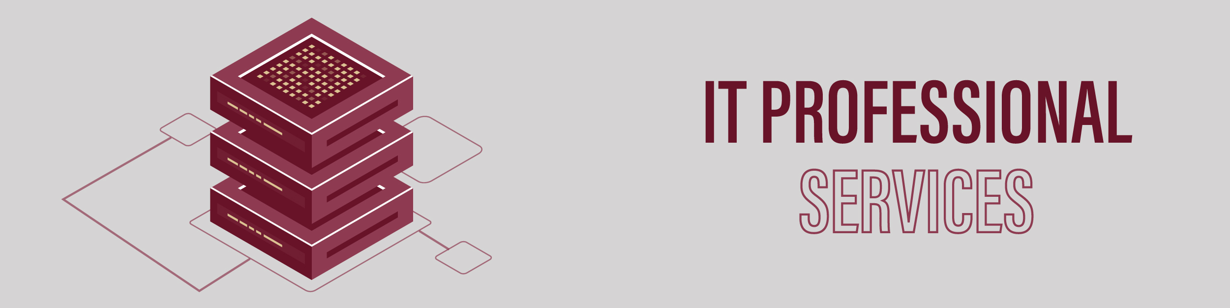 IT Professional Services